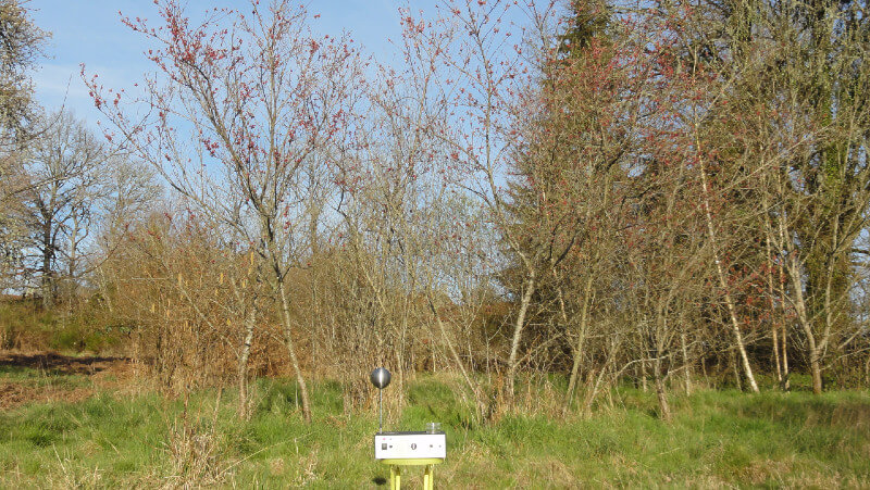 Traitement scalaire jardin